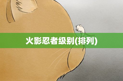 火影忍者级别(排列)