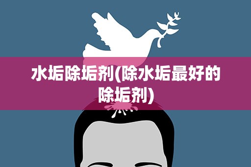 水垢除垢剂(除水垢最好的除垢剂)