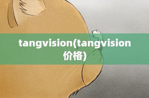 tangvision(tangvision价格)