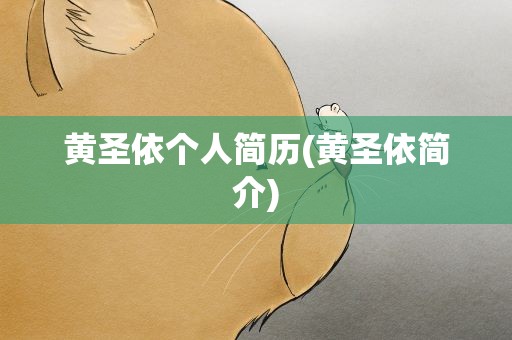 黄圣依个人简历(黄圣依简介)