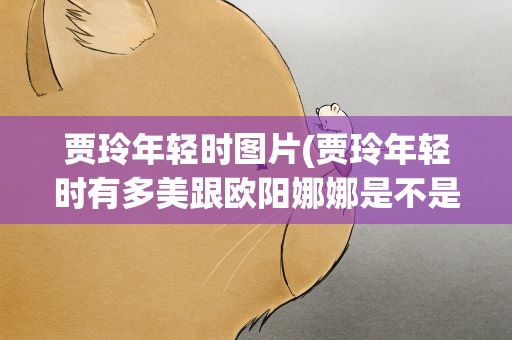 贾玲年轻时图片(贾玲年轻时有多美跟欧阳娜娜是不是很像呢)