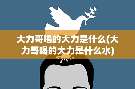大力哥喝的大力是什么(大力哥喝的大力是什么水)