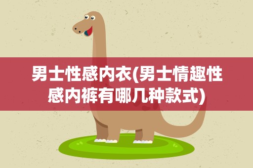 男士性感内衣(男士情趣性感内裤有哪几种款式)