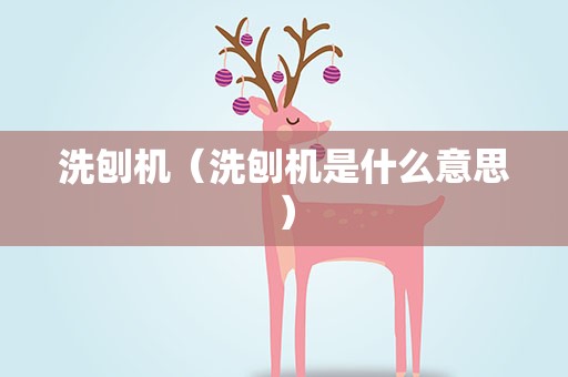 洗刨机（洗刨机是什么意思）