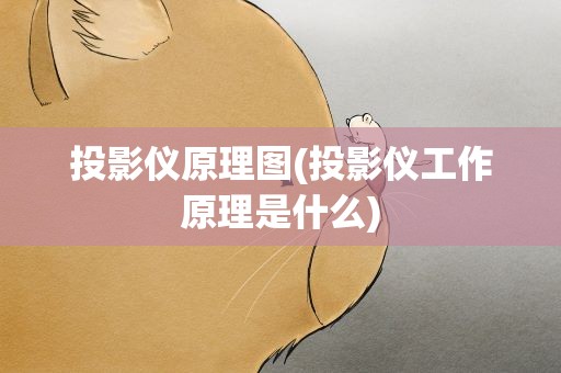 投影仪原理图(投影仪工作原理是什么)