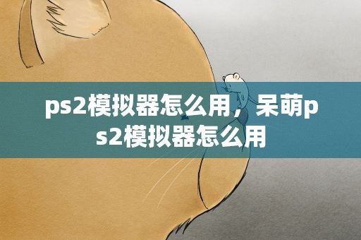 ps2模拟器怎么用，呆萌ps2模拟器怎么用