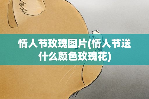 情人节玫瑰图片(情人节送什么颜色玫瑰花)