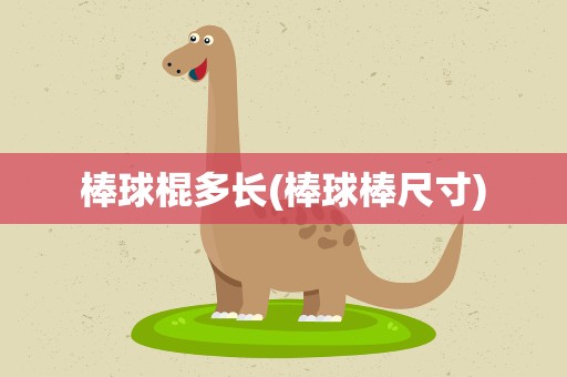 棒球棍多长(棒球棒尺寸)