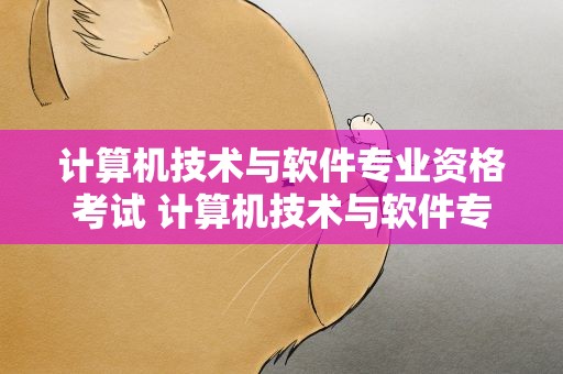 计算机技术与软件专业资格考试 计算机技术与软件专业资格考试证书
