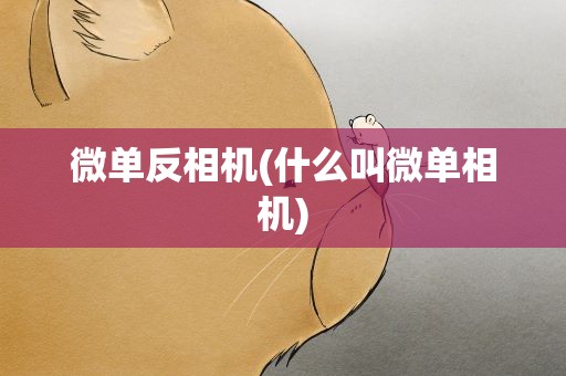 微单反相机(什么叫微单相机)