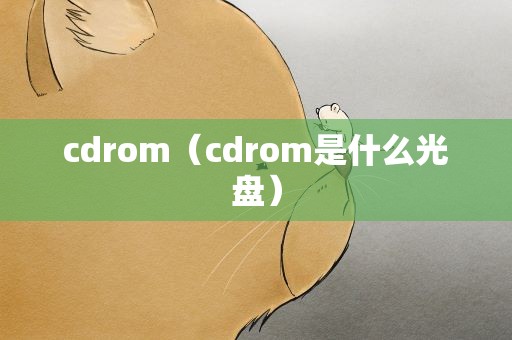 cdrom（cdrom是什么光盘）