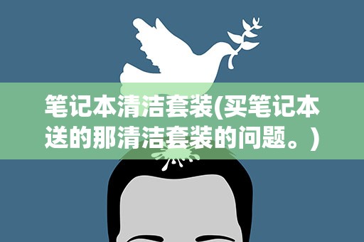 笔记本清洁套装(买笔记本送的那清洁套装的问题。)