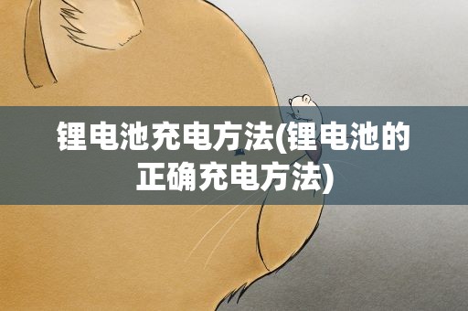 锂电池充电方法(锂电池的正确充电方法)