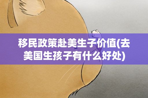 移民政策赴美生子价值(去美国生孩子有什么好处)