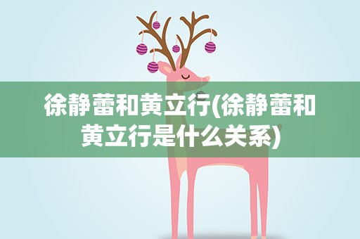 徐静蕾和黄立行(徐静蕾和黄立行是什么关系)