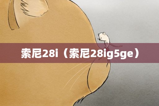 索尼28i（索尼28ig5ge）