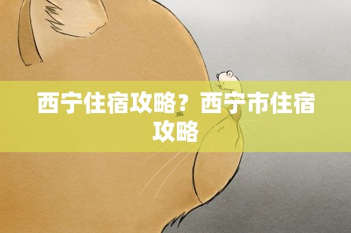 西宁住宿攻略？西宁市住宿攻略