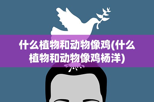 什么植物和动物像鸡(什么植物和动物像鸡杨洋)