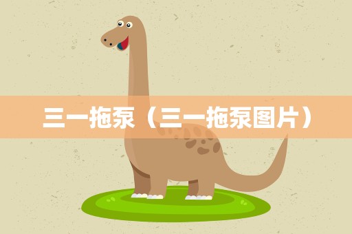 三一拖泵（三一拖泵图片）