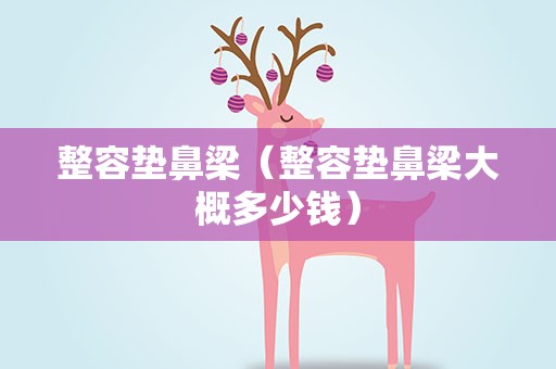 整容垫鼻梁（整容垫鼻梁大概多少钱）