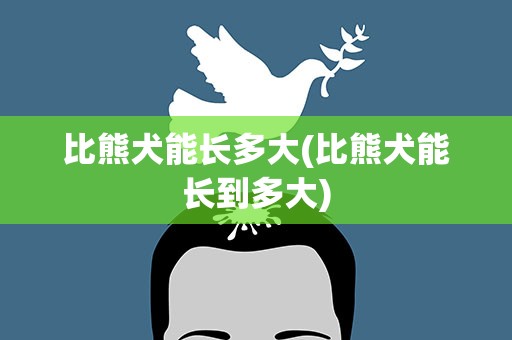 比熊犬能长多大(比熊犬能长到多大)