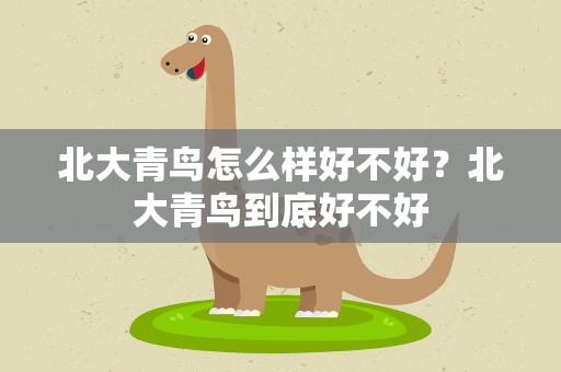 北大青鸟怎么样好不好？北大青鸟到底好不好