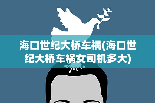 海口世纪大桥车祸(海口世纪大桥车祸女司机多大)