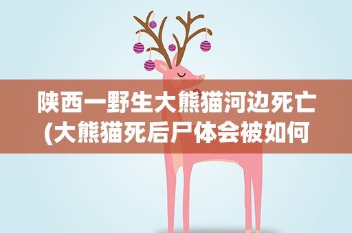 陕西一野生大熊猫河边死亡(大熊猫死后尸体会被如何处理)