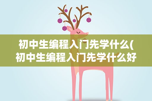 初中生编程入门先学什么(初中生编程入门先学什么好)