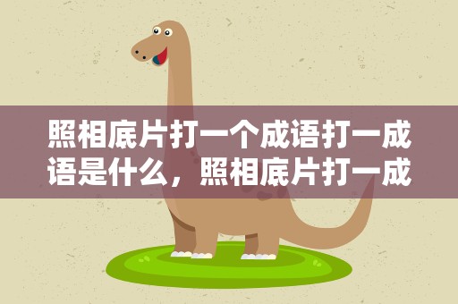 照相底片打一个成语打一成语是什么，照相底片打一成语答案是什么