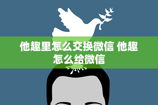 他趣里怎么交换微信 他趣怎么给微信