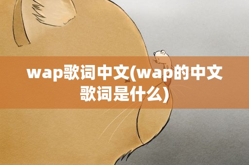 wap歌词中文(wap的中文歌词是什么)