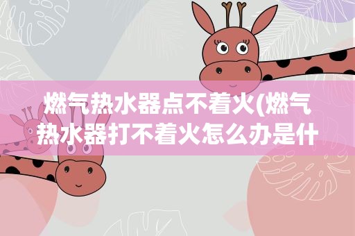 燃气热水器点不着火(燃气热水器打不着火怎么办是什么原因打不起火啊)