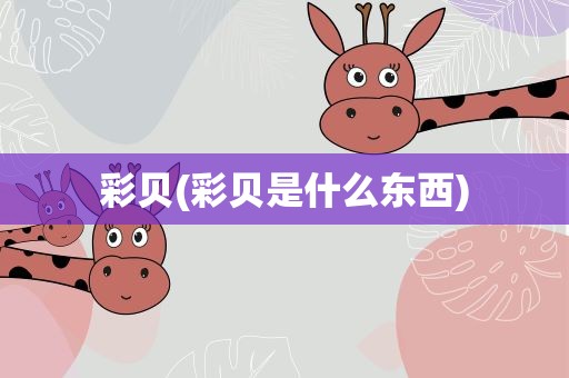 彩贝(彩贝是什么东西)