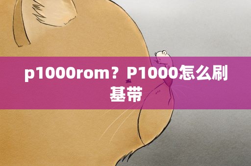 p1000rom？P1000怎么刷基带