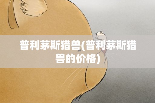 普利茅斯猎兽(普利茅斯猎兽的价格)