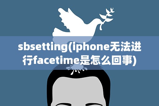 sbsetting(iphone无法进行facetime是怎么回事)