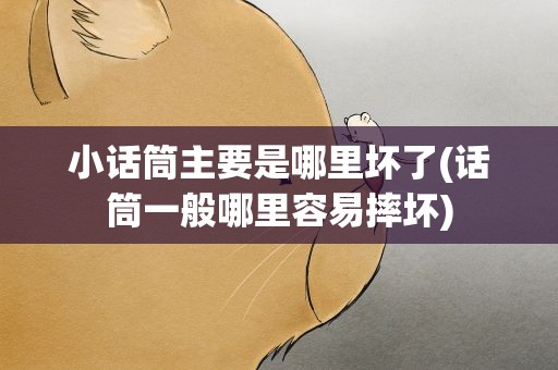 小话筒主要是哪里坏了(话筒一般哪里容易摔坏)