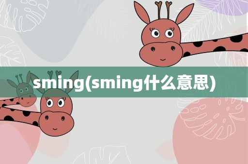 sming(sming什么意思)