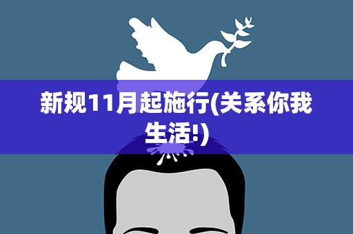 新规11月起施行(关系你我生活!)