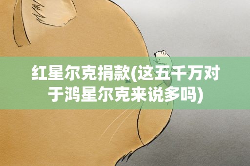 红星尔克捐款(这五千万对于鸿星尔克来说多吗)