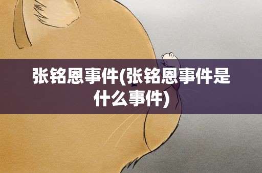 张铭恩事件(张铭恩事件是什么事件)