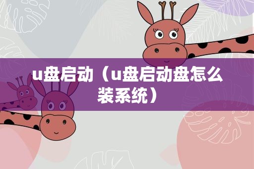 u盘启动（u盘启动盘怎么装系统）