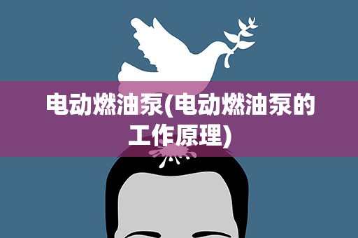 电动燃油泵(电动燃油泵的工作原理)
