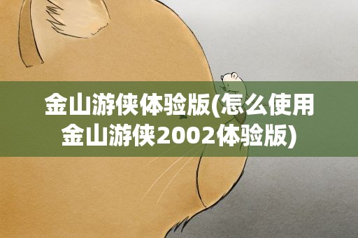 金山游侠体验版(怎么使用金山游侠2002体验版)