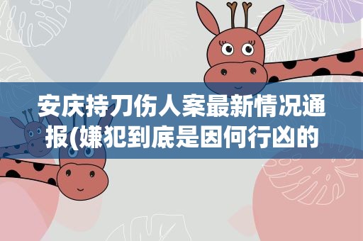 安庆持刀伤人案最新情况通报(嫌犯到底是因何行凶的)