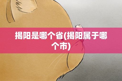 揭阳是哪个省(揭阳属于哪个市)