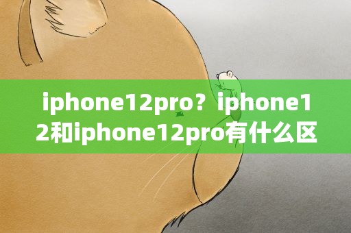 iphone12pro？iphone12和iphone12pro有什么区别