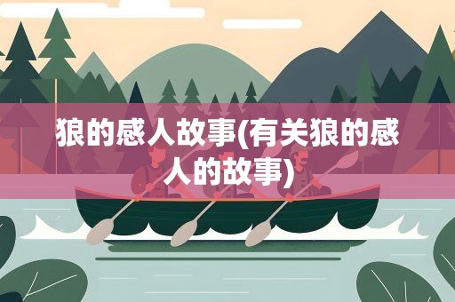 狼的感人故事(有关狼的感人的故事)