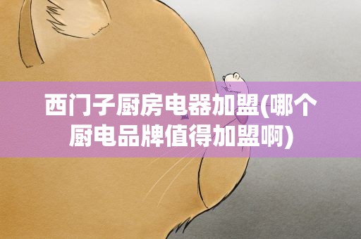 西门子厨房电器加盟(哪个厨电品牌值得加盟啊)